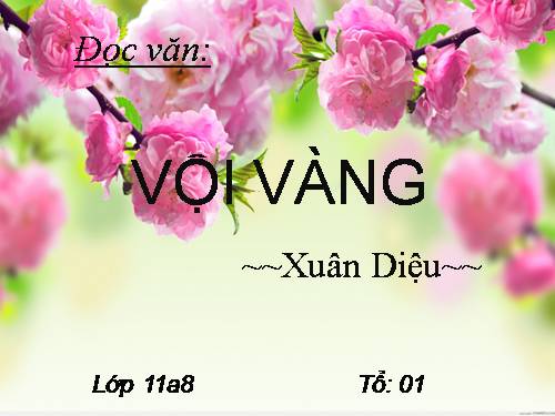 Tuần 21. Vội vàng