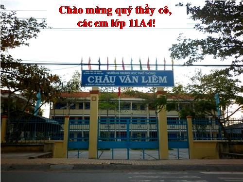 Tuần 11. Chữ người tử tù