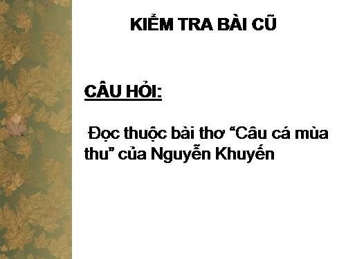 Tuần 3. Thương vợ.