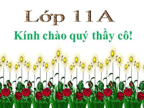 Tuần 13. Chí Phèo