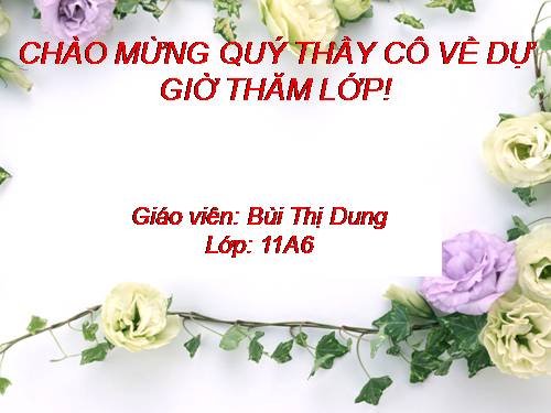 Tuần 12. Hạnh phúc của một tang gia