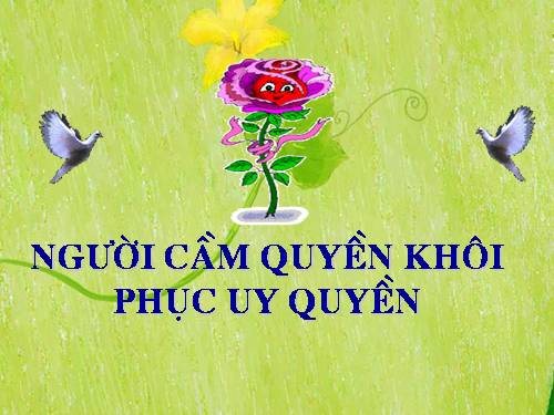 Tuần 28. Người cầm quyền khôi phục uy quyền