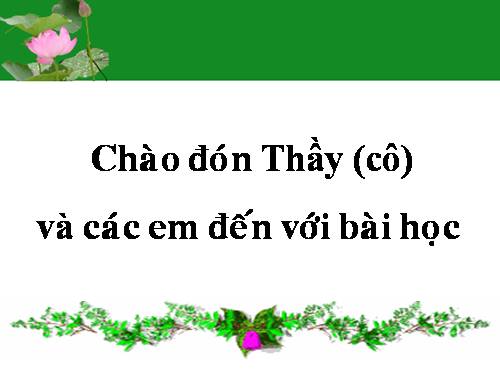 Tuần 10. Ngữ cảnh