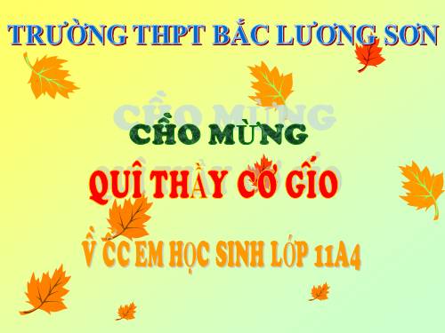 Tuần 11. Chữ người tử tù