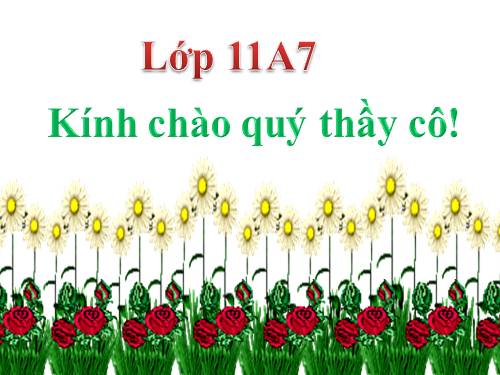 Tuần 13. Chí Phèo