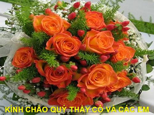 Tuần 10. Hai đứa trẻ