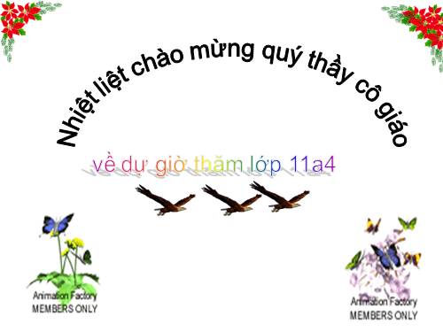 Tuần 4. Bài ca ngất ngưởng