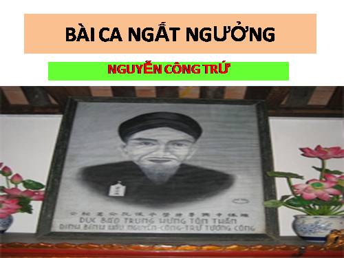 Tuần 4. Bài ca ngất ngưởng