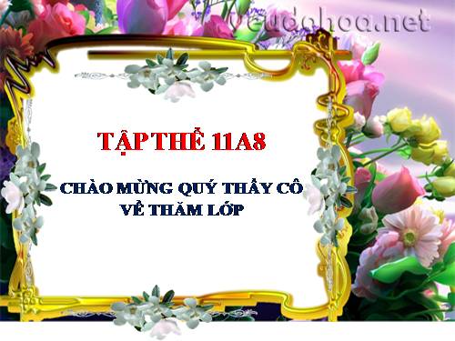 Tuần 25. Đặc điểm loại hình của Tiếng Việt