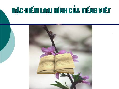 Tuần 25. Đặc điểm loại hình của Tiếng Việt