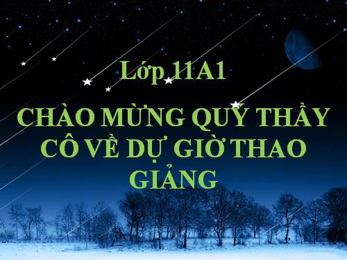 Tuần 11. Chữ người tử tù