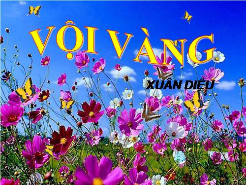 Tuần 21. Vội vàng