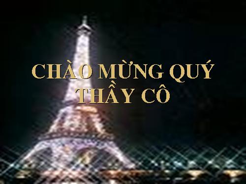 Tuần 28. Người cầm quyền khôi phục uy quyền