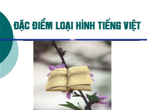 Tuần 25. Đặc điểm loại hình của Tiếng Việt