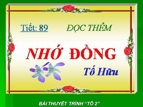 Tuần 24. Đọc thêm: Nhớ đồng