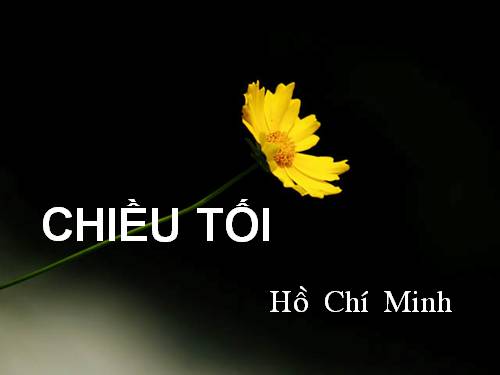 Tuần 23. Chiều tối (Mộ)