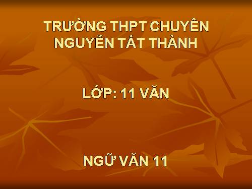 TỔNG ÊẾT LICH SỬ VĂN HỌC VIỆT NAM