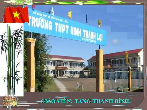 Tuần 27. Người trong bao