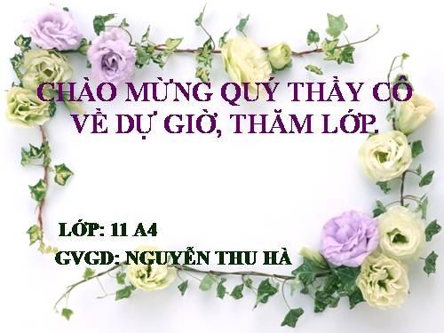 Tuần 12. Hạnh phúc của một tang gia