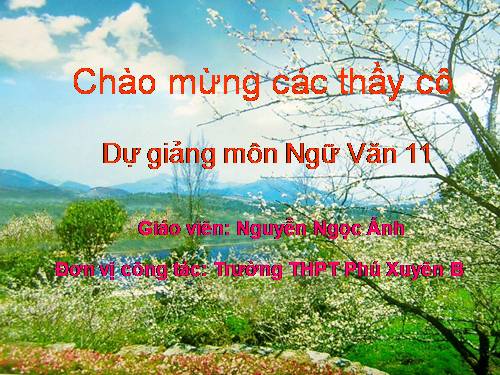 Tuần 23. Đây thôn Vĩ Dạ