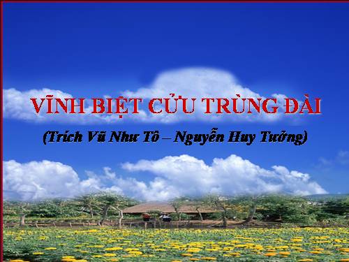 Tuần 16. Vĩnh biệt Cửu Trùng Đài