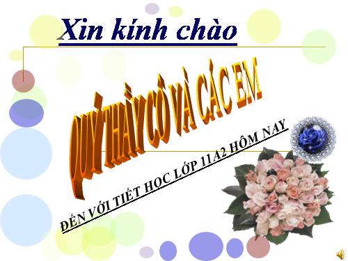 Tuần 14. Bản tin