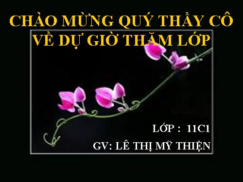 Tuần 28. Người cầm quyền khôi phục uy quyền