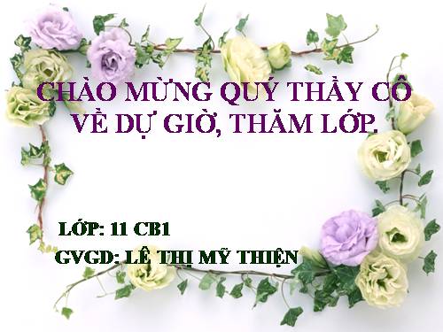 Tuần 12. Hạnh phúc của một tang gia