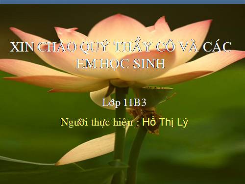 Tuần 13. Chí Phèo