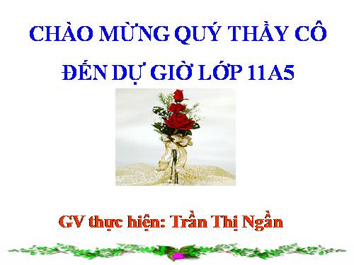 Tuần 28. Người cầm quyền khôi phục uy quyền