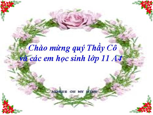 Tuần 4. Bài ca ngắn đi trên bãi cát (Sa hành đoản ca)