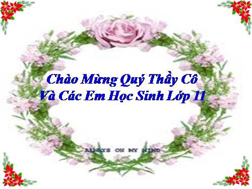 Tuần 10. Hai đứa trẻ