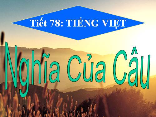 Tuần 19. Nghĩa của câu