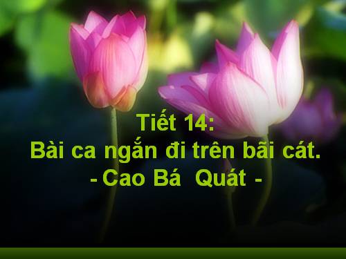 Tuần 4. Bài ca ngắn đi trên bãi cát (Sa hành đoản ca)