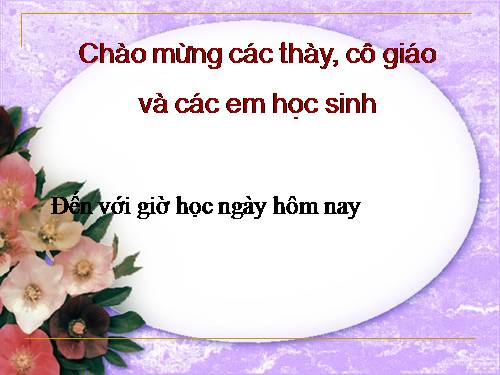 Tuần 27. Người trong bao