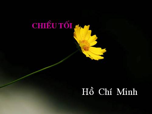 Tuần 23. Chiều tối (Mộ)