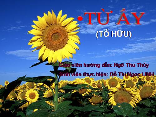 Tuần 24. Từ ấy