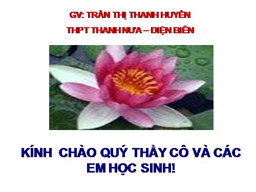 Tuần 12. Hạnh phúc của một tang gia