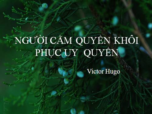 Tuần 28. Người cầm quyền khôi phục uy quyền