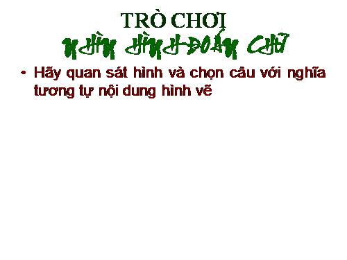 Tuần 27. Người trong bao