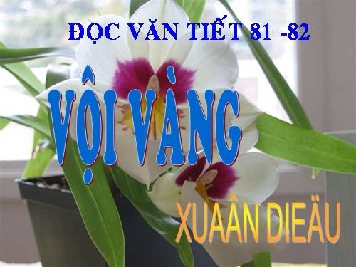 Tuần 21. Vội vàng