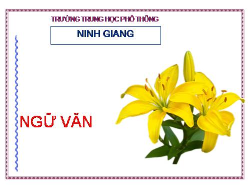 Tuần 28. Người cầm quyền khôi phục uy quyền