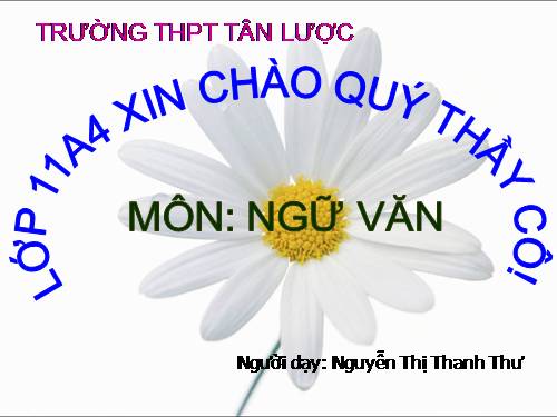 Tuần 28. Người cầm quyền khôi phục uy quyền