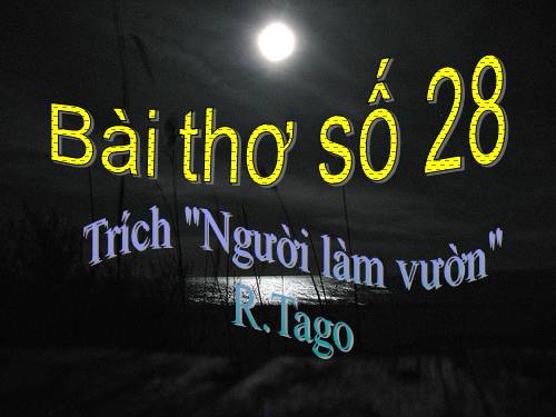 Tuần 26. Đọc thêm: Bài thơ số 28