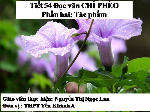 Tuần 13. Chí Phèo