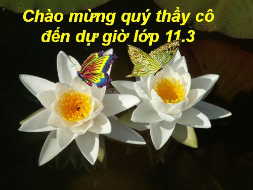 Tuần 13. Chí Phèo