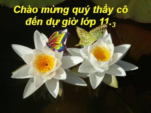 Tuần 25. Đặc điểm loại hình của Tiếng Việt