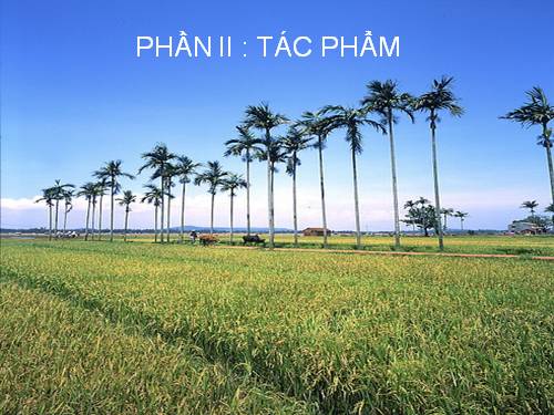 Tuần 13. Chí Phèo