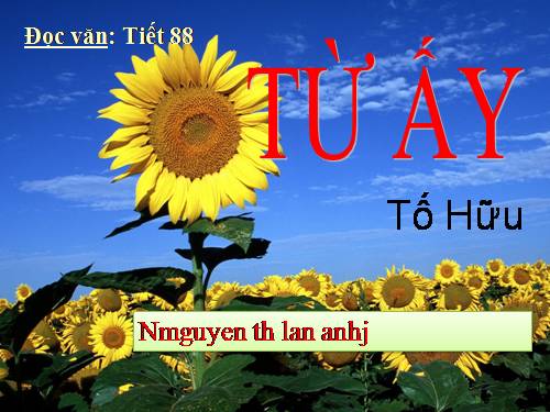 Tuần 24. Từ ấy