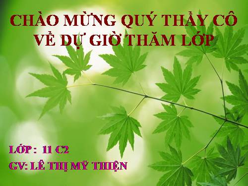 Tuần 13. Chí Phèo